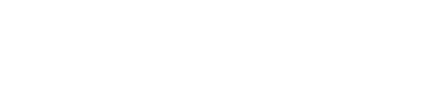 NetInfluencer